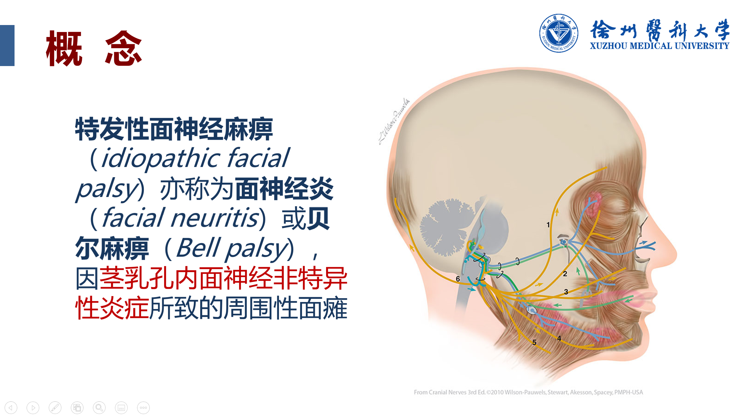 香港微创脑及脊椎神经外科手术中心 - 面部神经麻痹